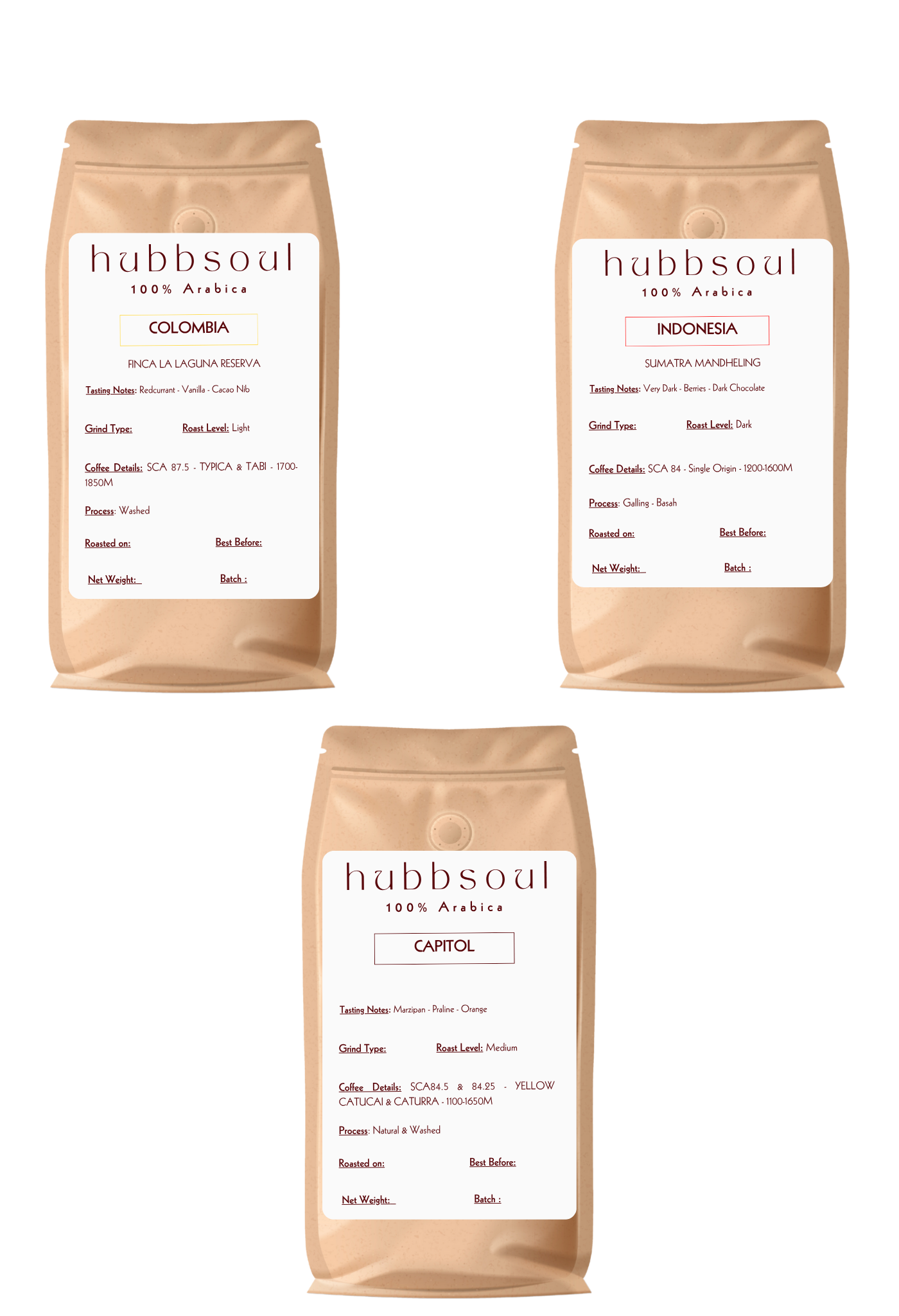 FLAVOUR PACK 2 (LIGHT, MEDIUM, DARK)